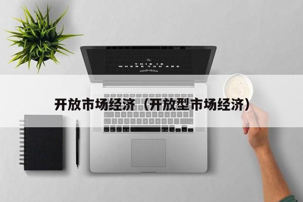 开放市场经济（开放型市场经济）