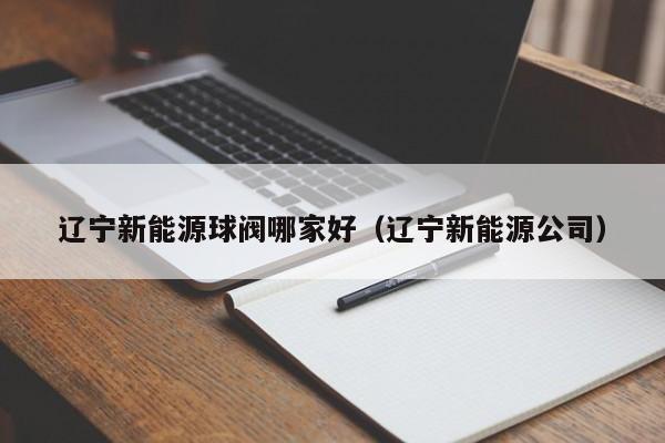 辽宁新能源球阀哪家好（辽宁新能源公司）