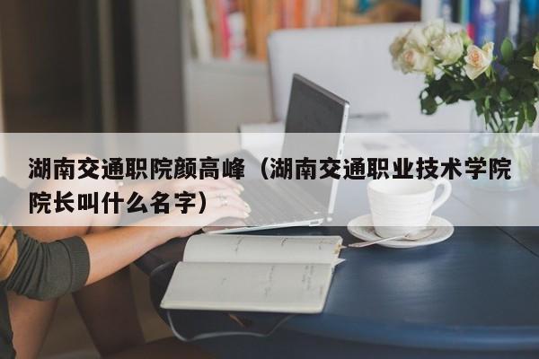 湖南交通职院颜高峰（湖南交通职业技术学院院长叫什么名字）